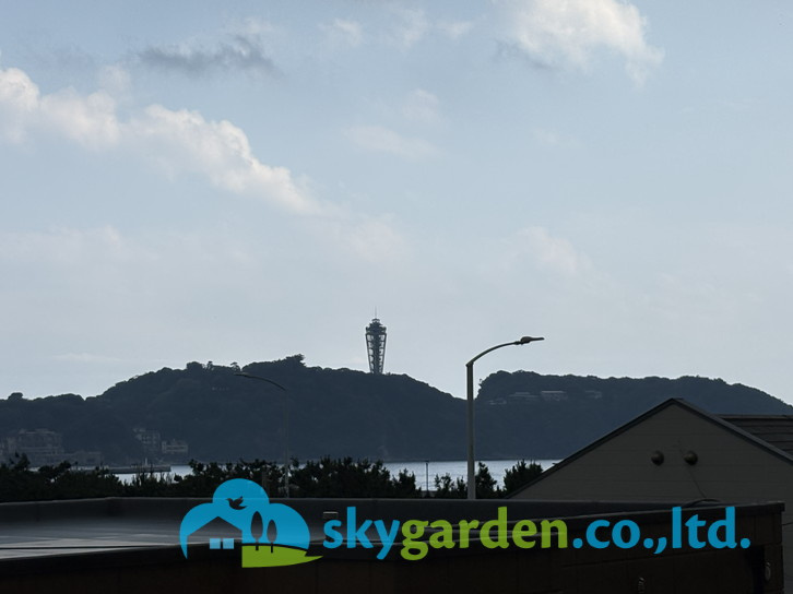 ハウス鵠沼海岸の展望