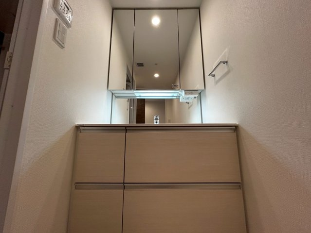 アルファステイツ西の土居の洗面所