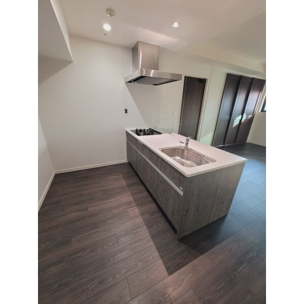 さくらHills NISHIKI Platinum Residenceのキッチン