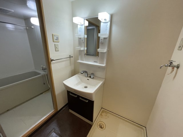 グローバルガーデン塚田の洗面所|他部屋参考写真です
