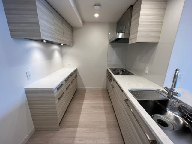 グランドメゾン新梅田　ＴＨＥ　ＣＬＵＢ　ＲＥＳＩＤＥＮＣＥのキッチン