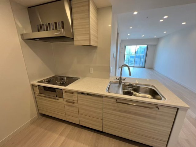 グランドメゾン新梅田　ＴＨＥ　ＣＬＵＢ　ＲＥＳＩＤＥＮＣＥのキッチン