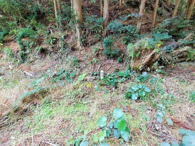 小佐々町黒石　土地の周辺
