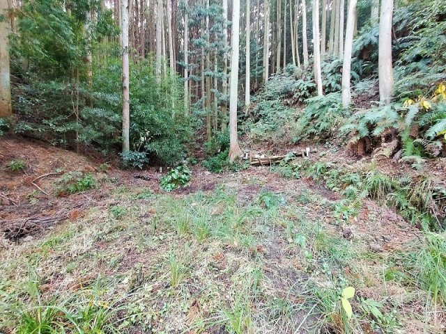 小佐々町黒石　土地の周辺