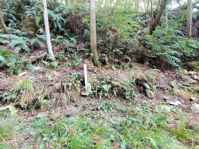 小佐々町黒石　土地の周辺