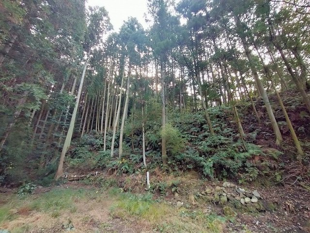 小佐々町黒石　土地の周辺
