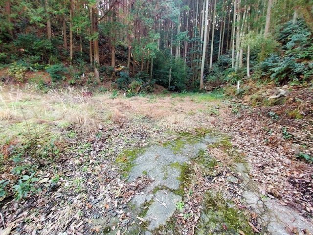 小佐々町黒石　土地の周辺