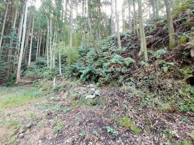 小佐々町黒石　土地の外観