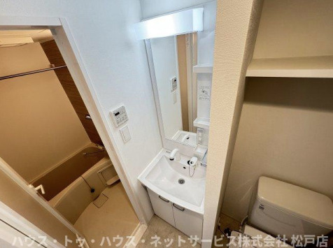 S-RESIDENCE松戸Iriseの洗面所