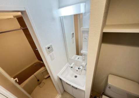 S-RESIDENCE松戸Iriseの洗面所