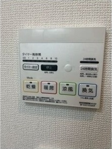 ディオーネ・ジエータ岸部のその他