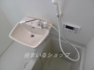 リヴィエール口田Ⅱの洗面所