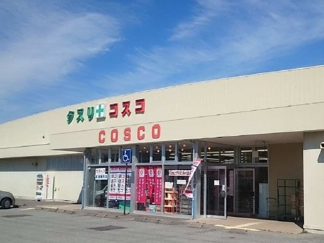 ヴィラパークヒル　Ａの周辺|ドラッグコスコまで1400m