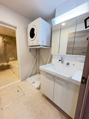 【洗面所】 | D-residence南蔵王町1丁目E | 洗髪洗面化粧台