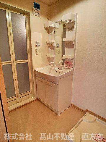 サンリットリバーⅡの洗面所