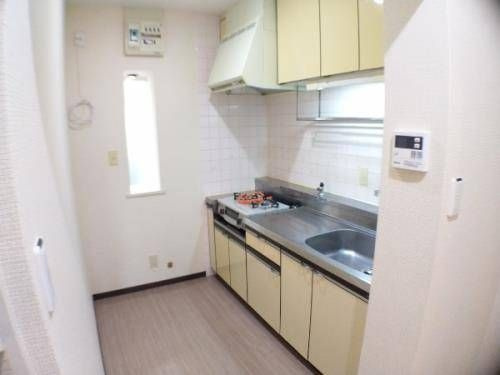 福生市南田園１丁目の賃貸マンションのキッチン
