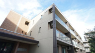 Navona.Kの画像