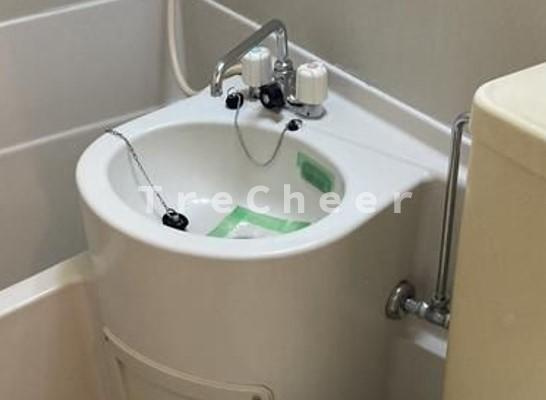 ロイヤルパレス6の洗面所