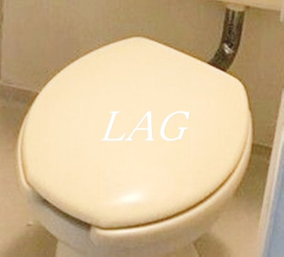 【トイレ】 | パステル鷹の台(ﾊﾟｽﾃﾙﾀｶﾉﾀﾞｲ) | トイレです。