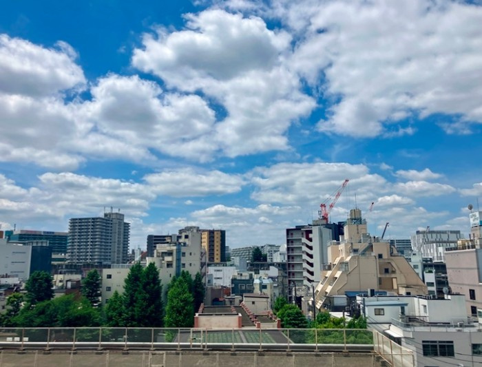 アイビーハイツ赤羽の展望
