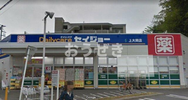 Ｇｒａｎｄｅｕｒ上大岡の周辺|セイジョー上大岡店まで444m 