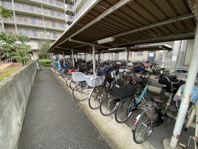 【駐輪場】 | ファミール堺パートⅡ | フローリング張替えますよ！綺麗な室内をぜひ現地にてご体感下さい♪