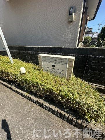 グリーンシトラスのその他