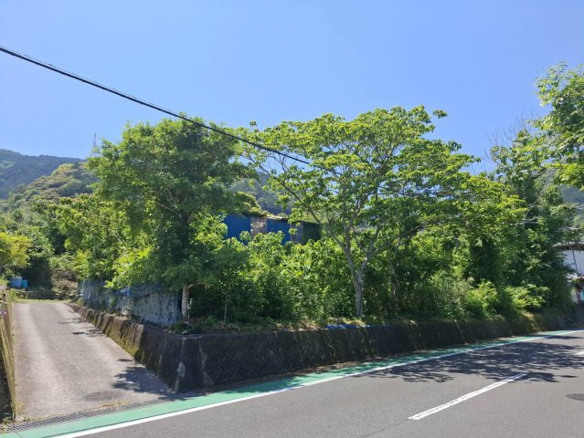 売土地　静岡市葵区富厚里の前面道路含む現地写真|豊かな自然に包まれた、穏やかな環境が魅力です。