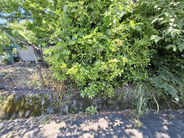 売土地　静岡市葵区富厚里の外観|緑豊かな環境で、ゆったりとした時間を過ごせます。