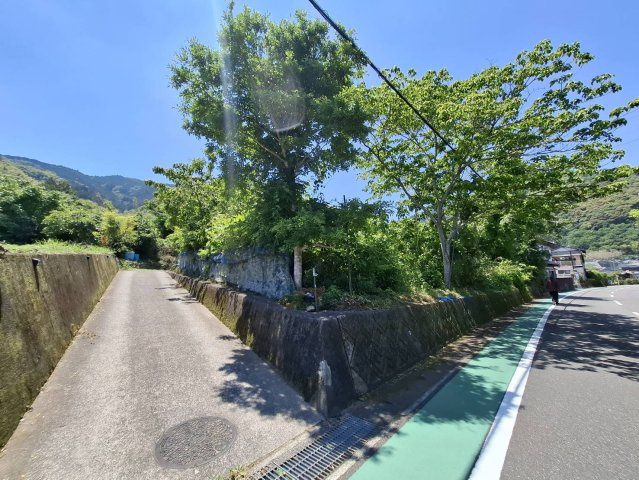 売土地　静岡市葵区富厚里の前面道路含む現地写真|緑あふれるロケーションで、のびのびとした時間を。