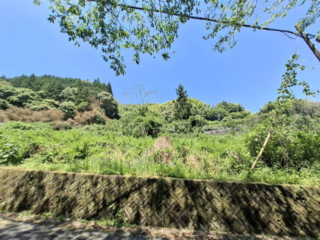 売土地　静岡市葵区富厚里の外観|周囲を自然に囲まれた、のびのびとしたロケーションです。