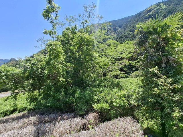 売土地　静岡市葵区富厚里の外観|農地ならではの広がりを感じられる、自然豊かな土地です。