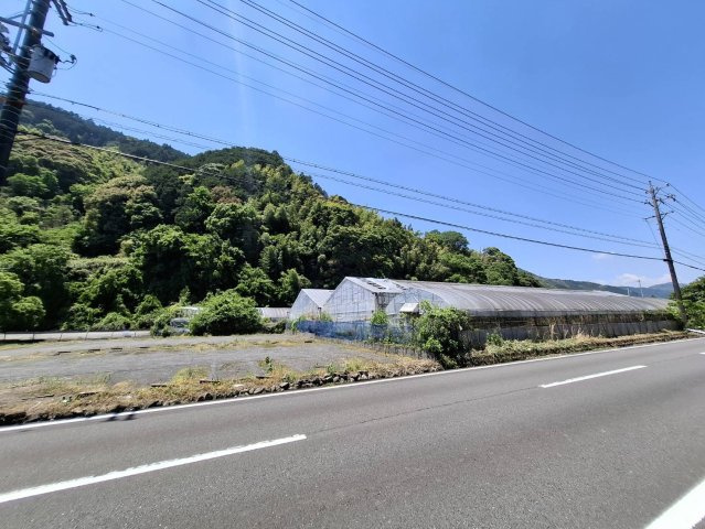 売土地　静岡市葵区富厚里の前面道路含む現地写真|周囲は緑豊かな環境。週末利用や趣味の拠点にもおすすめ。