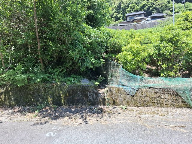 売土地　静岡市葵区富厚里の前面道路含む現地写真|農地ならではの広がりを感じられる、自然豊かな土地。