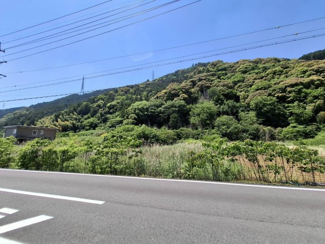 売土地　静岡市葵区富厚里の前面道路含む現地写真|自然派志向の方におすすめの閑静な立地。