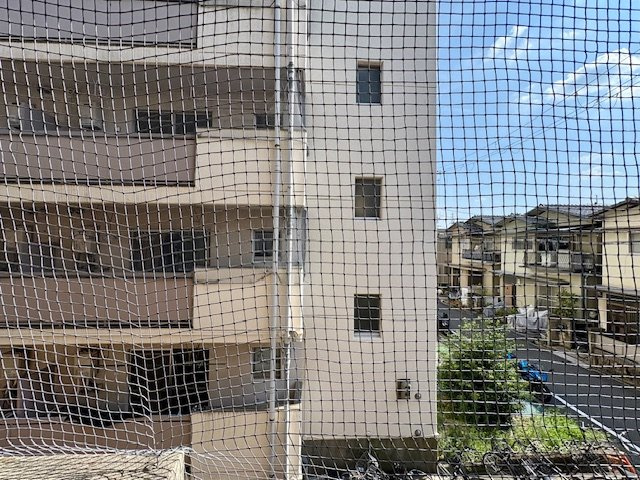 アンフィニィ橋の内Ⅰの展望