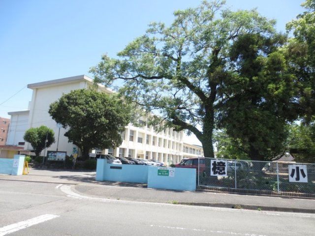 【周辺】 | D-resena 檍 | 宮崎市立檍小学校 140m