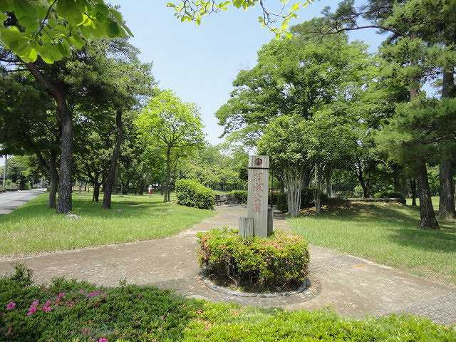 エアリーフォーリストのその他|その他