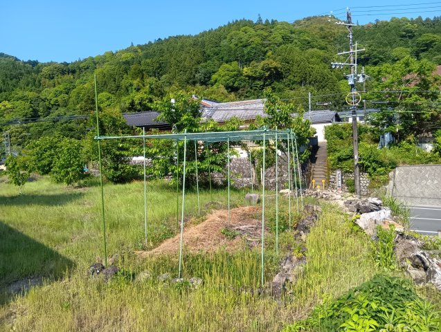 売中古戸建　藤枝市瀬戸ノ谷の庭|庭は畑やドッグラン等、好きな様に使えます！