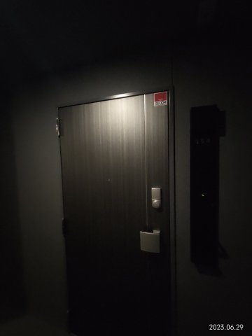 セントラルレジデンスの玄関|別部屋写真です。