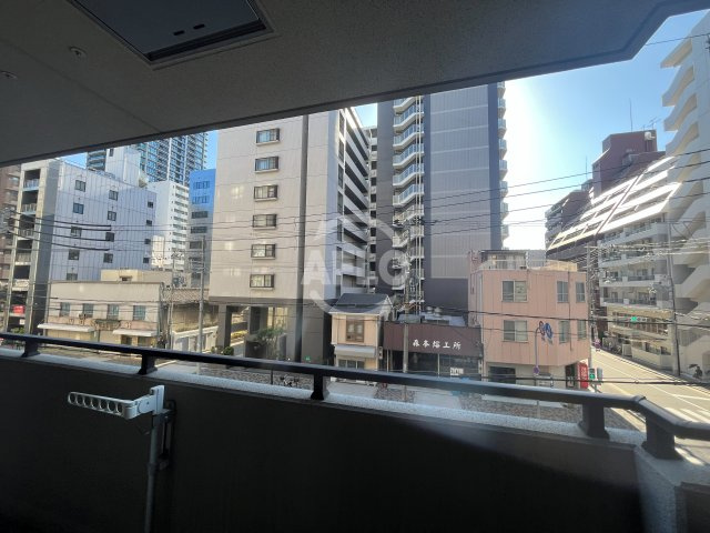 フォレステージュ南堀江　日吉小学校区の展望|フォレステージュ南堀江　眺望