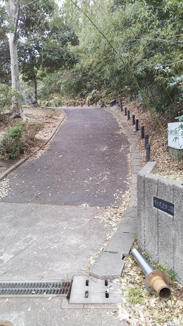 荏田北メゾンのその他|市ヶ尾古墳公園