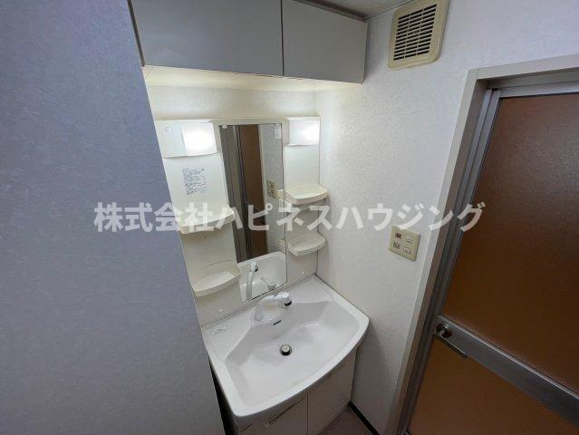 センターパーク新柏Ｂ棟～センターパークシンカシワビートウ～の洗面所|シャンプードレッサー。