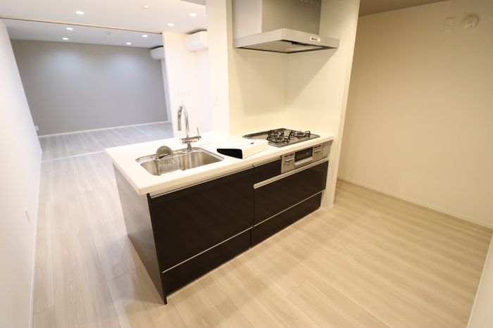 D-room弁天3丁目 Aのキッチン