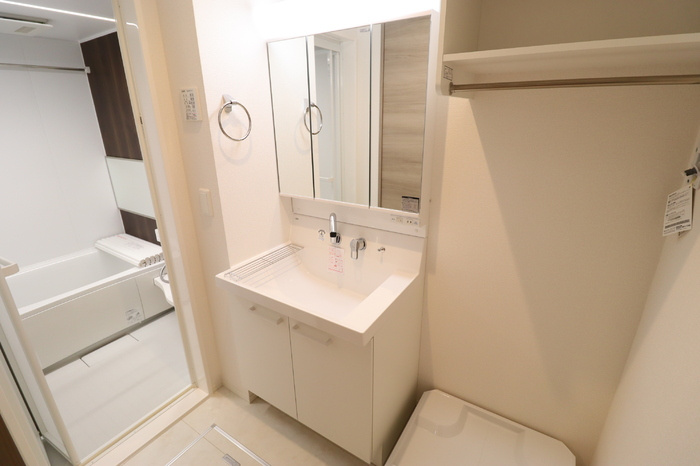 D-room弁天3丁目 Aの独立洗面台