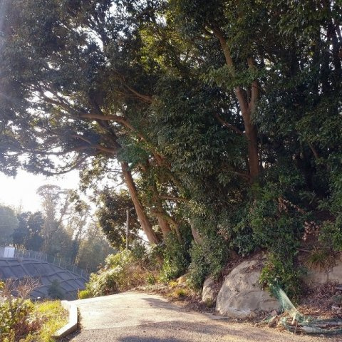 鹿子前町山林の前面道路含む現地写真