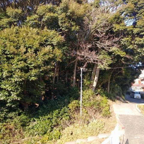 鹿子前町山林の外観