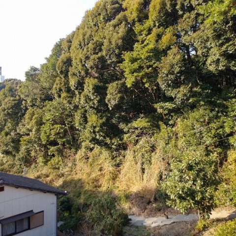 鹿子前町山林の外観