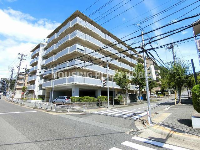 ベルトゥリー若草
