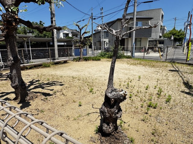 ダイアパレス楠上のその他共用部分